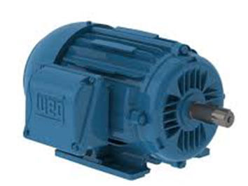 WEG Motors